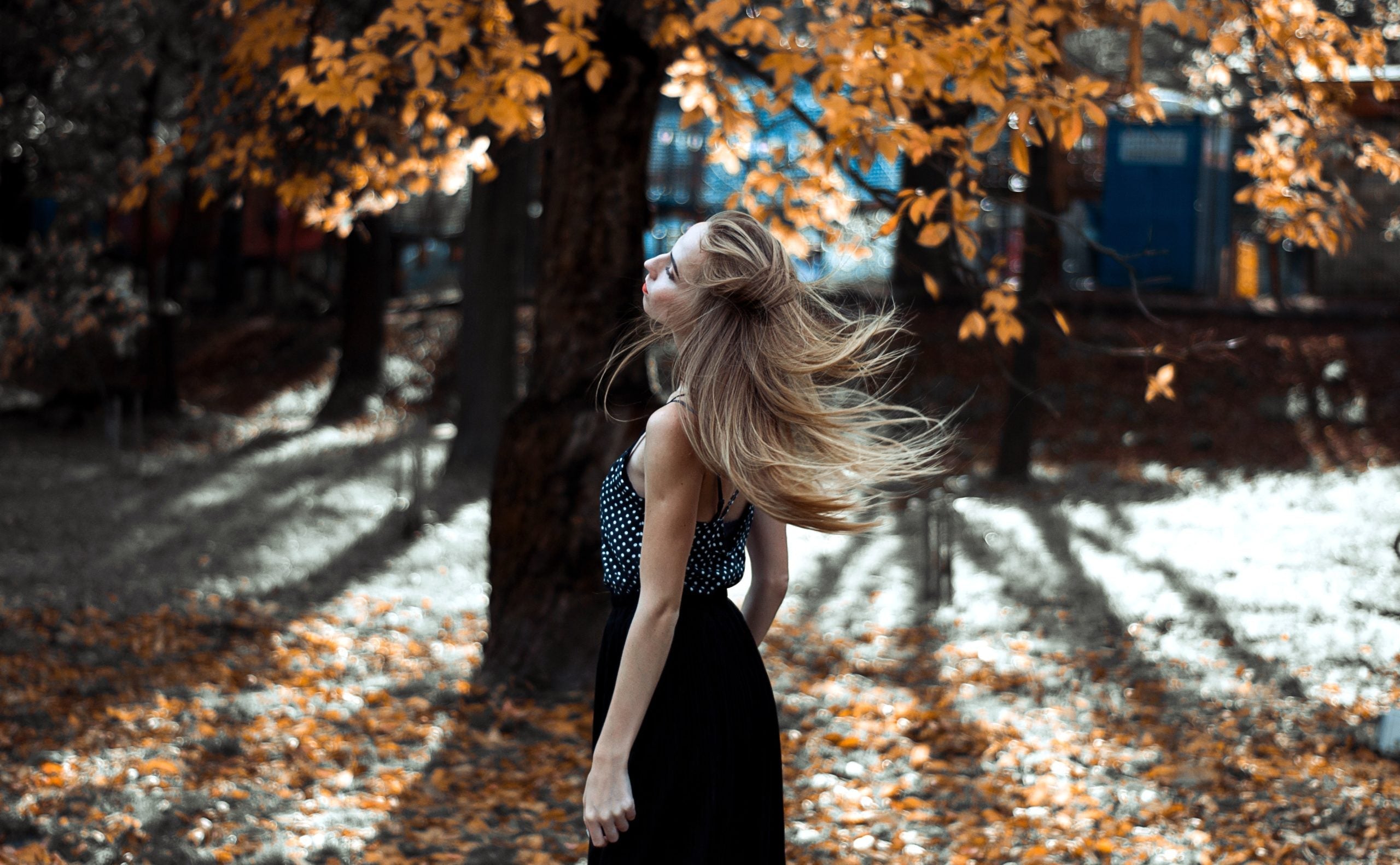 Chute de cheveux saisonnière en automne - causes et solutions naturelles